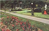 Canada – The Public Gardens, Halifax, Nova Scotia, Unused Postcard [P5806] - Halifax