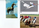 (868) - Hippisme - Horse Racing - Kyrgystan - Man-o-war Racing Horse + 1 Cartoon - Hippisme