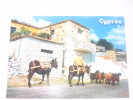 VL - TIPIQUE SCENE DE VILLAGE - Cyprus