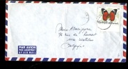 1989  Lettre : Butterfly Schmetterlingen  Farfale Papillon Surcharge Locale    80F   Butterfly   Schmetterling - Briefe U. Dokumente