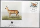 WWF - 1992 - Antilles Néerlandailles - Cerf De Virginie - FDC 1 Carte + 1 Lettre - Other & Unclassified