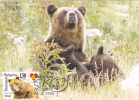 Bears Ours,2006 CM,maxicard,cartes Maximum, - Bulgaria. - Osos