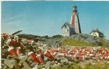 Canada – Yarmouth Lighthouse, Nova Scotia, 1959 Used Postcard [P5824] - Other & Unclassified