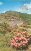USA – United States – Blue Ridge Parkway, Virginia, 1959 Used Chrome Postcard [P5825] - Andere & Zonder Classificatie