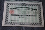 BANANERAIES DE FOULAYA - Paris 1928.Cie Agricole De La Guinée Française SCRIPOPHILIE - Agricoltura