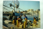 D 66 - Saint Cyprien Plage - Le Port : L'arrivée Des Pêcheurs - Saint Cyprien