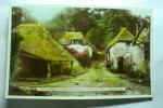 This Is First Photograph Taken Of Cockington Forge Torquay - Torquay