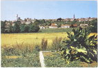 47. Cpsm. Gf. LAROQUE-TIMBAUT. Vue Générale. 7 - Laroque Timbault