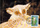 TANZANIE        WWF CARTE MAXIMUM NUM.YVERT  446     PROTECTION DE LA NATURE FAUNE    GALAGO - Maximumkaarten