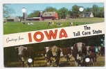 IOWA-GREETINGS- Not Traveled - Andere & Zonder Classificatie