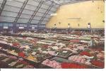 CENTRALE AALSMEERSCHE VEILING .AALSMER.GROTE ZAAL IN DE SNIJBLOEMEN-AFDELING. - Aalsmeer