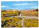 JORDAN-JERASH-ROMAN RUINS-not Traveled - Giordania