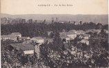 ¤¤  -    CARMAUX   -  Vue Du Bois Redon   -   Vignes   -  ¤¤ - Carmaux