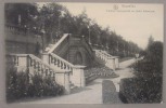 Bruxelles - Escalier Monumental Au Jardin Botanique - Nels, Bruxelles, Serie Bruxelles  No. 99 - Forêts, Parcs, Jardins