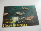 Barche Caribbean   U.s.a. - Embarcaciones