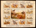 TADJIKISTAN: Feuillet OISEAUX Et WWF 12 Valeurs Emises En 1995 (Yvert 75/80 - Autres & Non Classés