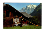 Suisse: Alphornblaser, Bernertracht, Wetterhorn, Photo E. Gyger Adelboden (11-1110) - Adelboden