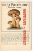 PHOLIOTE DORE CHAMPIGNON - PHOLIOTA  AUREA - Champignons Veneneux < Mycologie - Dos Scanné - Paddestoelen