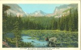 USA – United States – Lily Pond, Rocky Mountain National Park, Early 1900s Unused Postcard [P5998] - Rocky Mountains