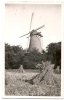 NETHERLANDS-ARNHEM-ORIGINAL PHOTOGRAPHY- Traveled - Arnhem