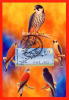 ISRAEL (2009) - Carte Maximum Card - ATM AMIEL - Birds Of Israel / Oiseaux Israel - Birds Of Prey - Maximumkarten