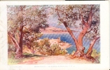 Lessieux  Illustrateur - Ref 45- Monte Carlo - Monaco -  A Travers Les Oliviers   - Carte Bon Etat - - Lessieux