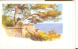 Lessieux  Illustrateur - Ref 28- Nice - Le Chateau   -carte Bon Etat - - Lessieux