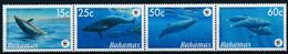 Bahamas 2007 MiNr. 1281 - 1284 WWF Marine Mammals Blainville's Beaked Whales 4v MNH** 3,60 € - Baleines