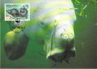 VANUATU   WWF CARTE MAXIMUM NUM.YVERT  799  PROTECTION DE LA NATURE FAUNE DUGONG - Maximum Cards