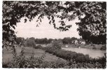 77-BOIS-le-ROI- Trouée Sur Sermaize Et La Seine- Cpsm 1953 - Bois Le Roi