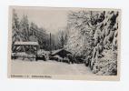 Falkenstein I. V. Göltzschtal-Mühle ( Vogtland ? ) - Vogtland