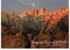 CPM ETATS UNIS SEQUOIA NATIONAL PARK MOUNT WHITNEY - Sonstige & Ohne Zuordnung