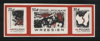 POLAND SOLIDARNOSC SOLIDARITY SEPT 1939 4TH PARTITION BY GERMANY & RUSSIA (SOLID0149/0296) Ribbentrop Molotov Maps WW2 - Vignettes De Fantaisie