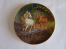 Assiette à Décor De Chevaux - Unclassified