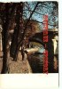 MONIER ALBERT  N° 10270 Paris - Les Berges De La Seine Et Le Pont Neuf - Dos Scané - Monier
