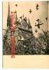 MONIER ALBERT  N° 200 Paris - Les Pigeons De Notre Dame - Dos Scané - Monier