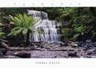 Australia Tasmania - Liffey Falls Not Far From Launceston Unused - Other & Unclassified