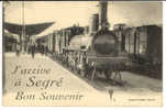 SEGRE - Carte Souvenir - Gare , Train Très Beau Plan - Segre
