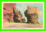 MONCTON, NEW BRUNSWICK - THE ROCKS AT HOPEWELL CAPE - PECO - - Otros & Sin Clasificación