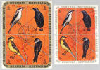 1971 REPUBLIQUE DU BURUNDI - OISEAUX N. 6 Feuilles De Timbres (rif.Max) - Nuovi