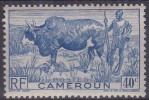 £9 - CAMEROUN - N° 278 - NEUF SANS CHARNIERE - Otros & Sin Clasificación