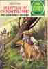 Bande Desinee AVENTURAS DE UN NIÑO IRLANDES (BD, 30 Pages), De Jules Verne (Col.Joyas Literarias) (Ref.93690) - Sonstige & Ohne Zuordnung