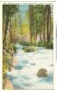 USA – United States – Ashland Creek In Chatauqua Park, Ashland, Oregon, Early 1900s Unused Postcard [P6050] - Autres & Non Classés