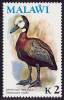 MALAWI BIRDS DUCK SC# 244 HIGH VALUE VF MNH SC CV$14- - Malawi (1964-...)