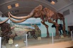 05A  009    @   Fossil  Mammoth Mammuthus   ( Postal Stationery , Articles Postaux ) - Fossielen