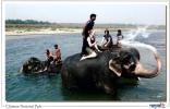 CPM NEPAL  CHITWAN NATIONAL PARK ELEPHANT BATH BAIN  (NON ECRITE) - Nepal