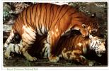 CPM NEPAL  CHITWAN NATIONAL PARK TIGER TIGRE BREEDING SAILLIE  LOVERS  (NON ECRITE) - Nepal