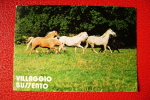 VILLAGGIO PALUMBO  MANEGGIO CAVALLO  BUSSENTO    CATANZARO CALABRIA   VIAGGIATA CONDIZIONI FOTO - Catanzaro