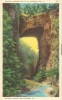 USA – United States – Natural Bridge On US Highway No 11, Between Pulaski And Staunton, VA, 1920s Unused Postcard [P6101 - Other & Unclassified