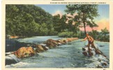 USA – United States – Fishing In George Washington National Forest, Virginia, Unused Linen Postcard [P6104] - Andere & Zonder Classificatie